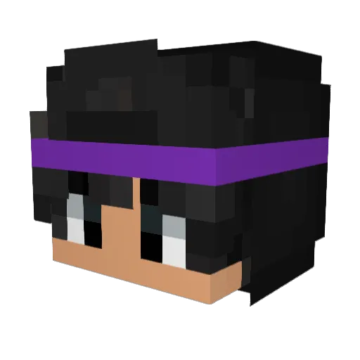 Lord__AFK Minecraft avatar head, 3D render