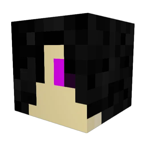 Lord__Salami Minecraft avatar head, 3D render