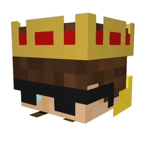 Lord__Suraj Minecraft avatar head, 3D render