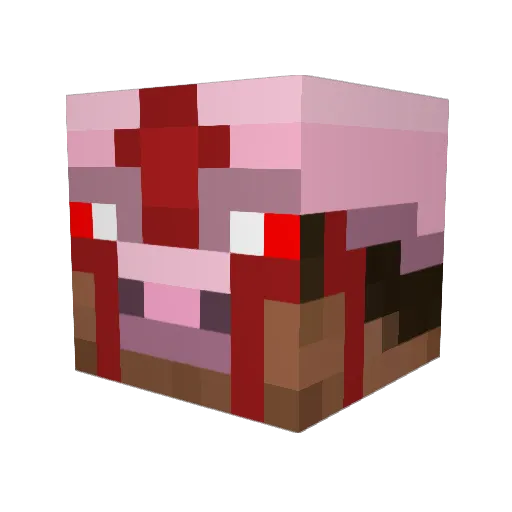 Lord_of_the_Hogs Minecraft avatar head, 3D render