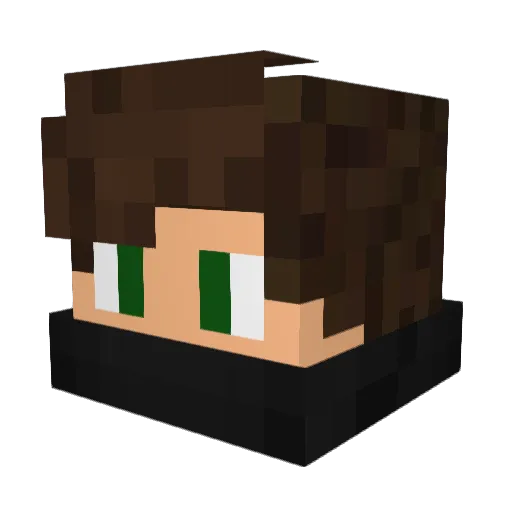 Lord_t0mate Minecraft avatar head, 3D render