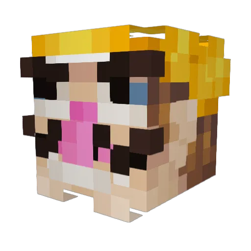 Lordbeast123 Minecraft avatar head, 3D render
