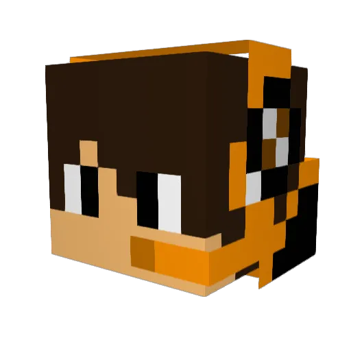 Lorde_Vinicin Minecraft avatar head, 3D render