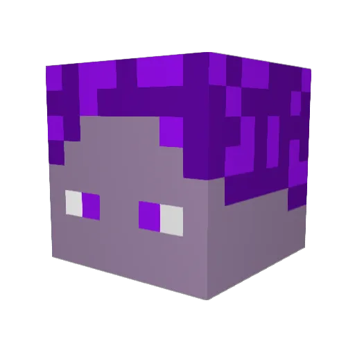LordenStar247 Minecraft avatar head, 3D render