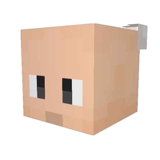 Lordofawesome04 Minecraft avatar head, 3D render