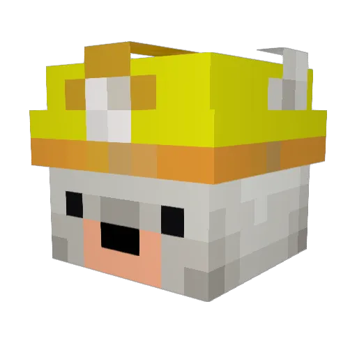 LordofthePies314 Minecraft avatar head, 3D render