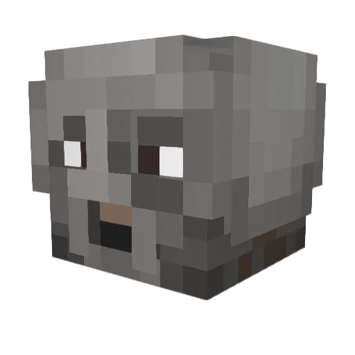 Lordpooky Minecraft avatar head, 3D render