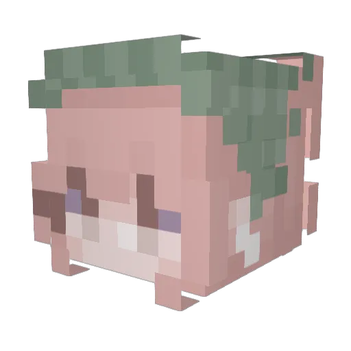 Lordpuffers Minecraft avatar head, 3D render
