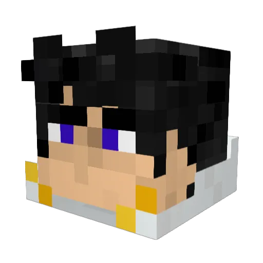 Lordrhys2 Minecraft avatar head, 3D render