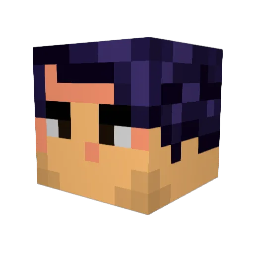 LoremIp5um Minecraft avatar head, 3D render