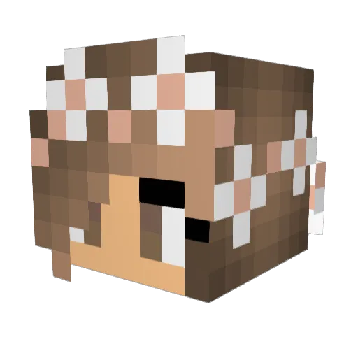 Lorenci Minecraft avatar head, 3D render