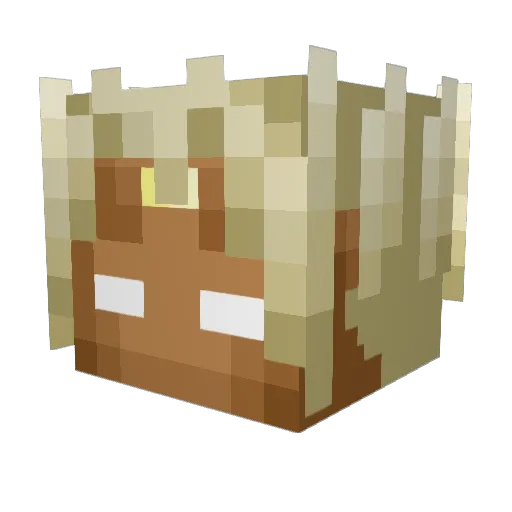 Lorenlk22 Minecraft avatar head, 3D render