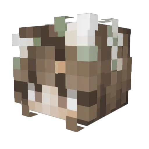 Lorentzene Minecraft avatar head, 3D render
