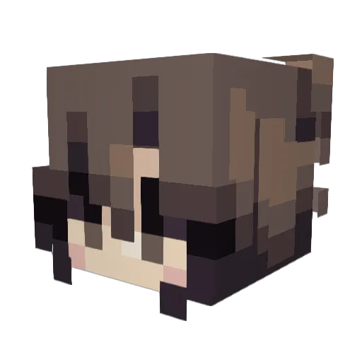 Lorenuwis Minecraft avatar head, 3D render