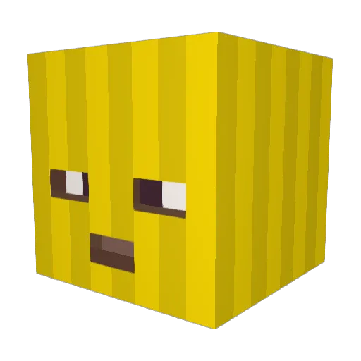 Lorenzo_026 Minecraft avatar head, 3D render