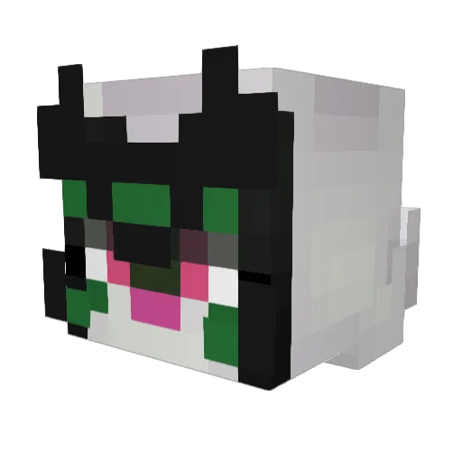 LorienStarz Minecraft avatar head, 3D render