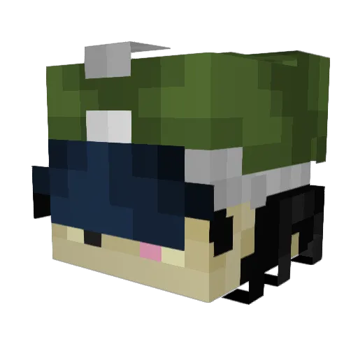 Lorito_Dorito Minecraft avatar head, 3D render