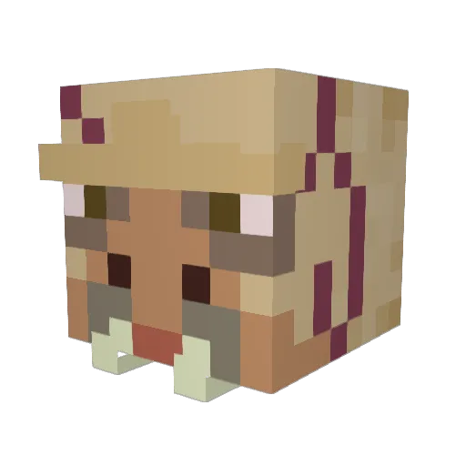 Lorpso Minecraft avatar head, 3D render