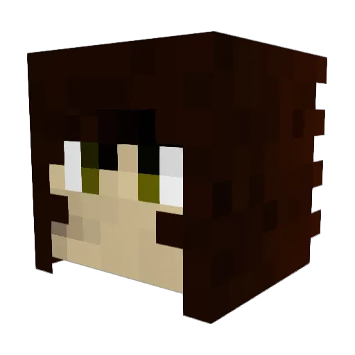 Lorry757 Minecraft avatar head, 3D render