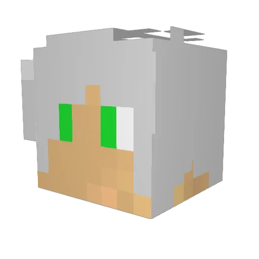Lorsan97__ Minecraft avatar head, 3D render