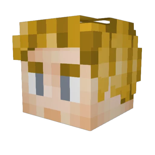 Loser017 Minecraft avatar head, 3D render