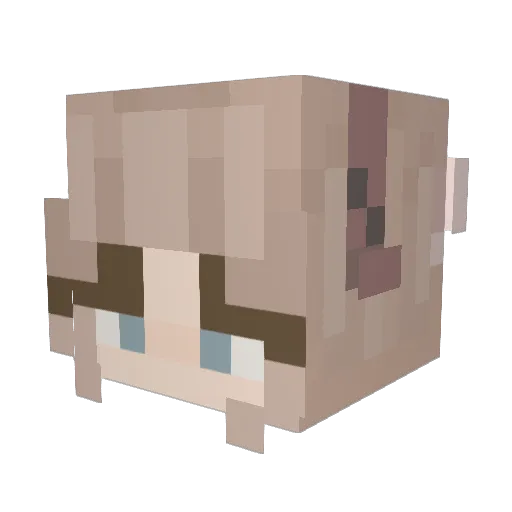 Loser707 Minecraft avatar head, 3D render