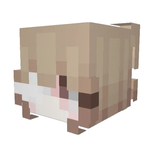 LoserMadi Minecraft avatar head, 3D render