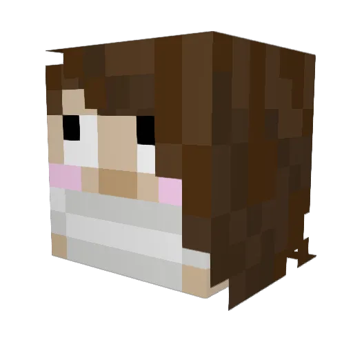 LoserSRY Minecraft avatar head, 3D render