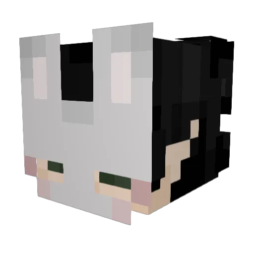 LoserSimmp Minecraft avatar head, 3D render