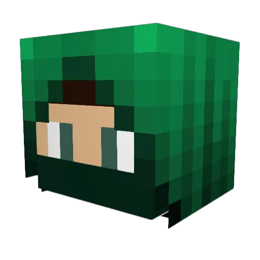 Loserboy09 Minecraft avatar head, 3D render