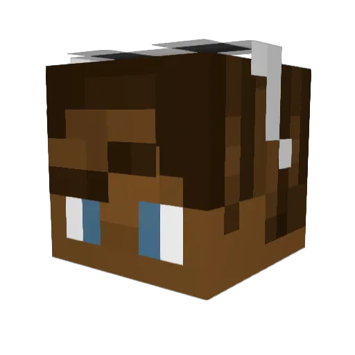 Loserboy96 Minecraft avatar head, 3D render