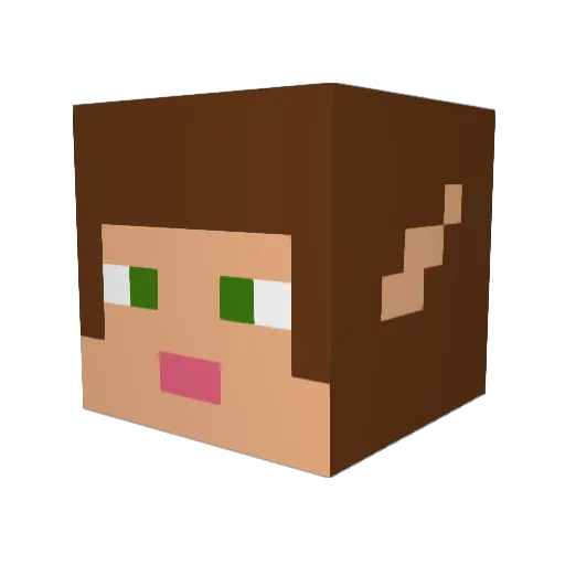Losername6969 Minecraft avatar head, 3D render