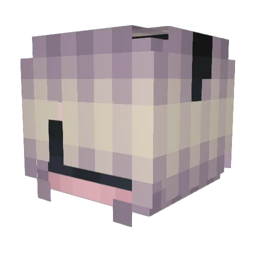Loserpro53 Minecraft avatar head, 3D render