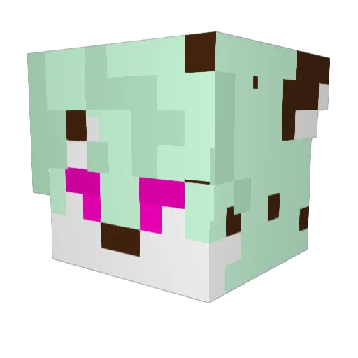 Loserrnintdog Minecraft avatar head, 3D render