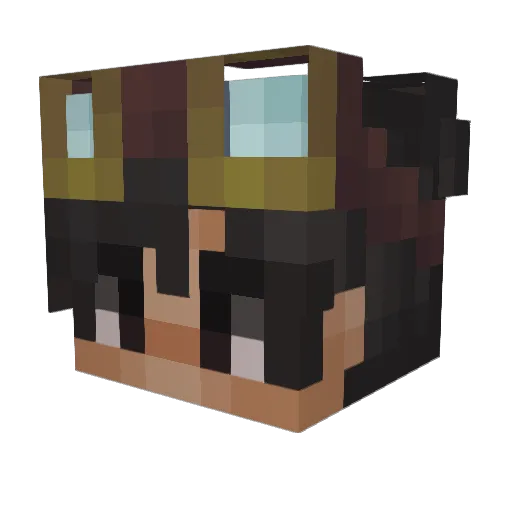Loshgoobi Minecraft avatar head, 3D render