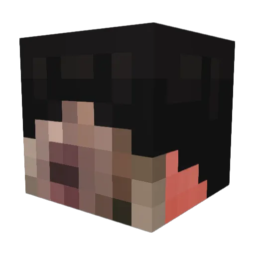 LosingDaylight Minecraft avatar head, 3D render