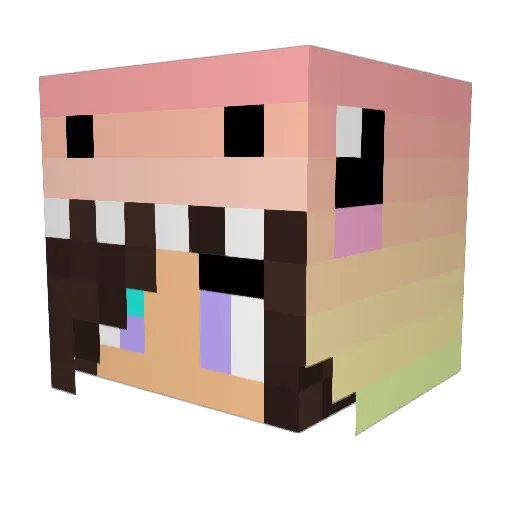 Losingbraincells Minecraft avatar head, 3D render