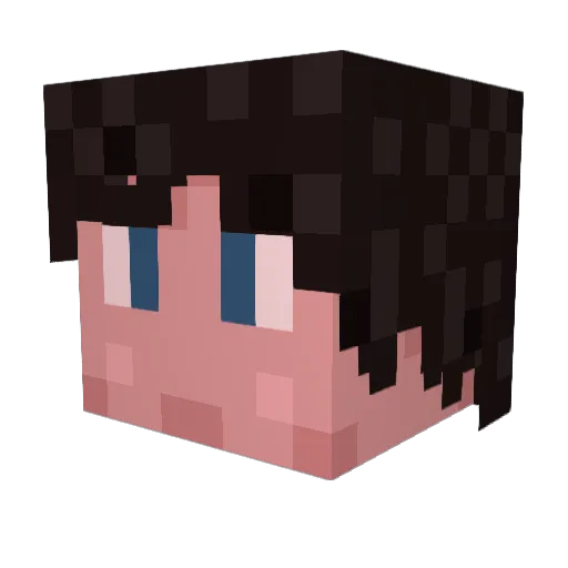 Losm Minecraft avatar head, 3D render