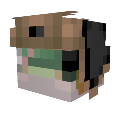 Lososl Minecraft avatar head, 3D render
