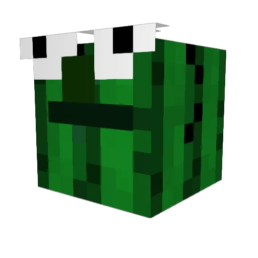 Losososb Minecraft avatar head, 3D render