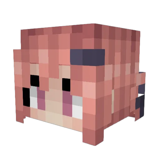 Lost1nNgo Minecraft avatar head, 3D render