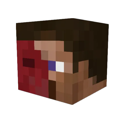 LostCause308 Minecraft avatar head, 3D render