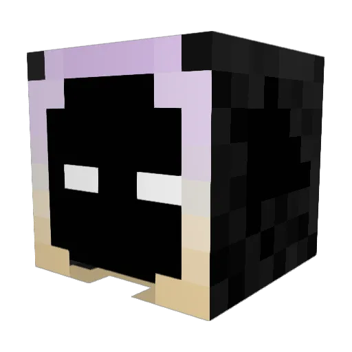 LostDonkeys Minecraft avatar head, 3D render