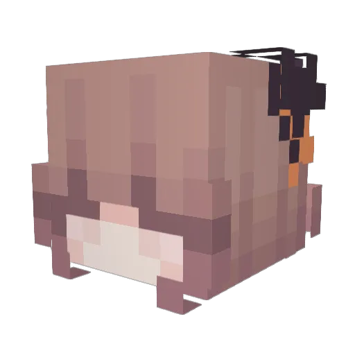 LostEmotion Minecraft avatar head, 3D render