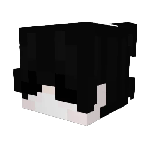 LostFromLightTV Minecraft avatar head, 3D render