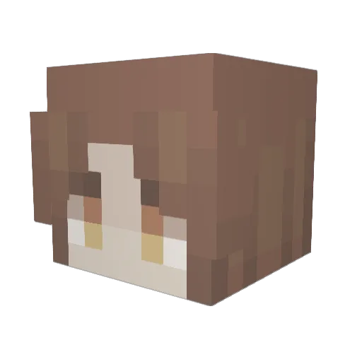 LostGuard Minecraft avatar head, 3D render