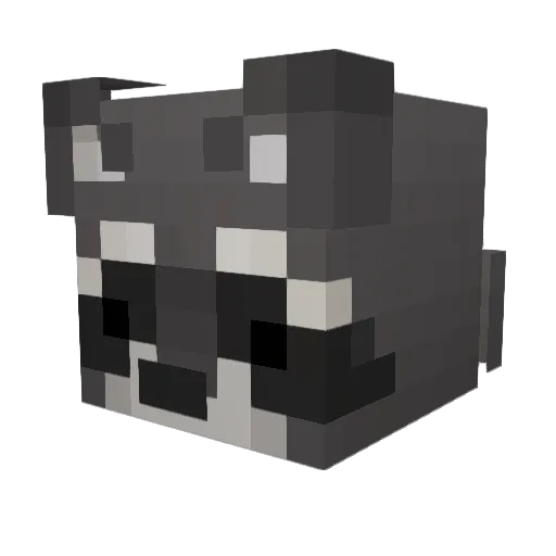 LostGuaxi Minecraft avatar head, 3D render