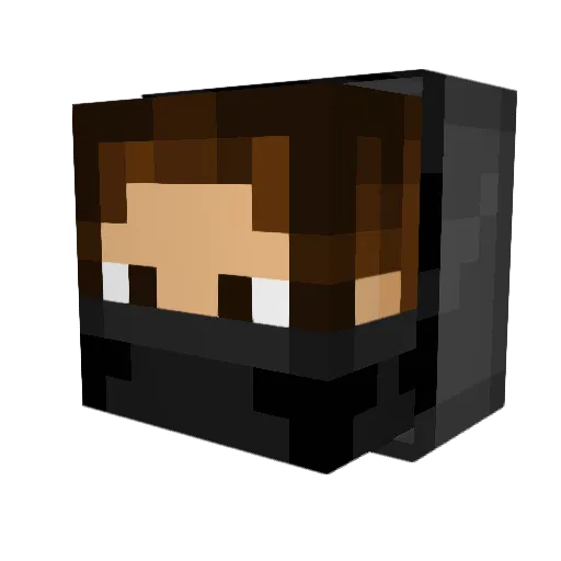 LostInTime98 Minecraft avatar head, 3D render