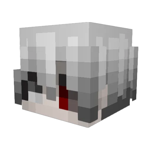 LostLNG Minecraft avatar head, 3D render