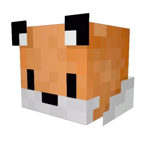 LostNico71 Minecraft avatar head, 3D render